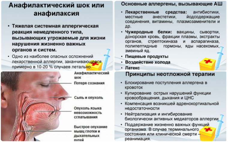 Сегодня, 24 октября, прошло второе занятие по первой медицинской помощи для педагогов. Тема была важной и актуальной: «Оказание первой медицинской помощи при анафилактическом шоке»..